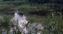 IMGP2279-1024.jpg