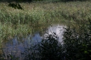 IMGP2281-1024.jpg