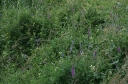 IMGP2282-1024.jpg