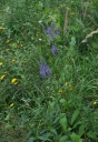 IMGP2285-1024.jpg