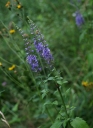 IMGP2286-1024.jpg