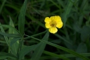 IMGP2291-1024.jpg
