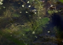 IMGP2302-1024.jpg