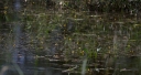 IMGP2329-1024.jpg