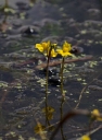 IMGP2332-1024.jpg
