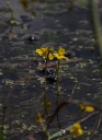 IMGP2333-1024.jpg