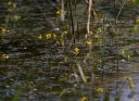 IMGP2348-1024.jpg