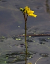 IMGP2355-1024.jpg