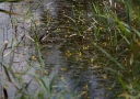 IMGP2359-1024.jpg