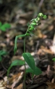 IMGP2543-1024.jpg