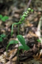IMGP2544-1024.jpg