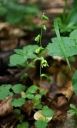 IMGP2553-1024.jpg