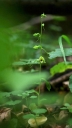 IMGP2554-1024.jpg