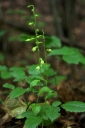 IMGP2569-1024.jpg