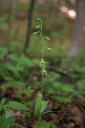 IMGP2574-1024.jpg