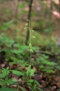 IMGP2575-1024.jpg