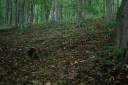 IMGP2586-1024.jpg