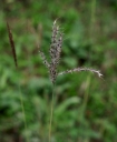 IMGP2597-1024.jpg