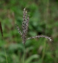IMGP2598-1024.jpg
