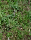 IMGP2599-1024.jpg