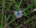 IMGP2605-1024.jpg