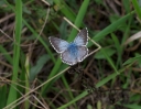 IMGP2606-1024.jpg