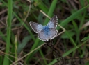 IMGP2607-1024.jpg