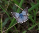 IMGP2608-1024.jpg