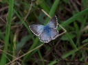 IMGP2609-1024.jpg