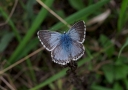 IMGP2610-1024.jpg