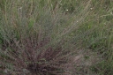 IMGP2616-1024.jpg