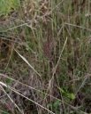 IMGP2619-1024.jpg
