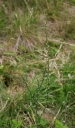 IMGP2621-1024.jpg