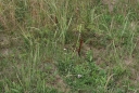 IMGP2628-1024.jpg