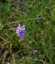 IMGP2634-1024.jpg