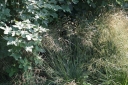 IMGP2647-1024.jpg