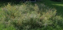 IMGP2656-1024.jpg