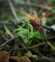 IMGP2667-1024.jpg