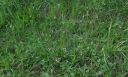IMGP2673-1024.jpg