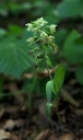 IMGP2710-1024.jpg