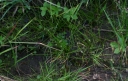 IMGP2728-1024.jpg