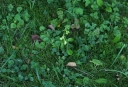 IMGP2747-1024.jpg