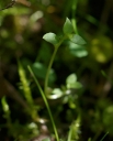 IMGP2754-1024.jpg