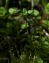 IMGP2755-1024.jpg