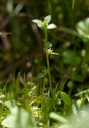 IMGP2756-1024.jpg