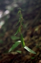IMGP2758-1024.jpg