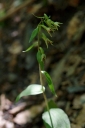 IMGP2766-1024.jpg
