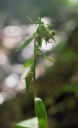 IMGP2768-1024.jpg