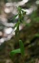 IMGP2773-1024.jpg