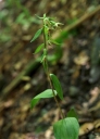 IMGP2774-1024.jpg